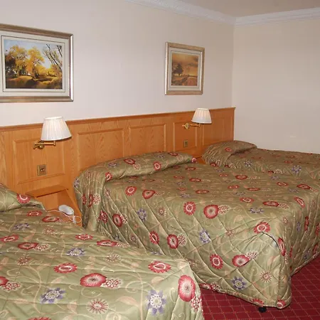 Viking Hotel-3
